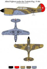 Allied Fighters Under the Turkish Flag - P-40E and P-40B ( 1/48 )