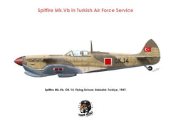 TIGERHEAD SPITFIRE Mk. Vb. in Turkish Air Force service ( 1/48 )
