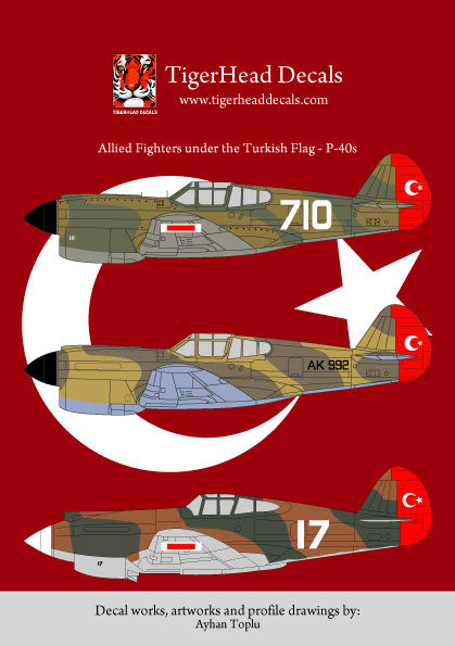 Allied Fighters Under the Turkish Flag - P-40E and P-40B  ( 1/72 )