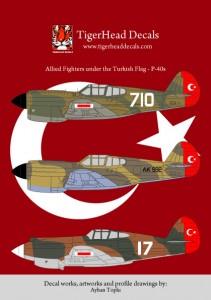 Allied Fighters Under the Turkish Flag - P-40E and P-40B ( 1/48 )