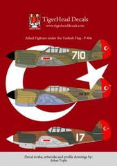 Allied Fighters Under the Turkish Flag - P-40E and P-40B ( 1/48 )