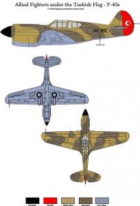 Allied Fighters Under the Turkish Flag - P-40E and P-40B ( 1/48 )