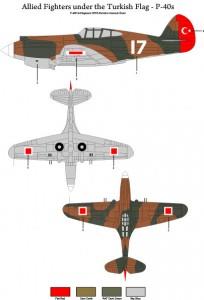 Allied Fighters Under the Turkish Flag - P-40E and P-40B ( 1/48 )