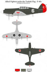 Allied Fighters Under the Turkish Flag - P-40E and P-40B ( 1/48 )
