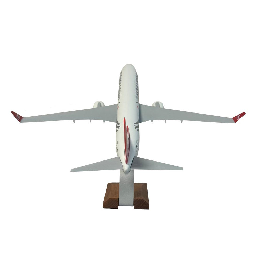 İsme Özel Boeing 737-800 Masaüstü Sergi Maketi (1/100)