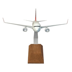 İsme Özel Boeing 737-800 Masaüstü Sergi Maketi (1/100)