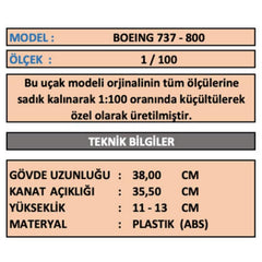 İsme Özel Boeing 737-800 Masaüstü Sergi Maketi (1/100)