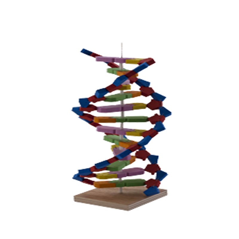 Deney Seti "DNA"