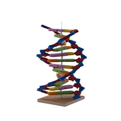 Deney Seti "DNA"