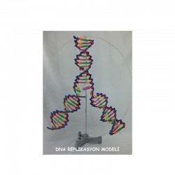 Deney Seti "DNA"