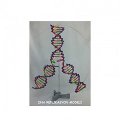 Deney Seti "DNA"