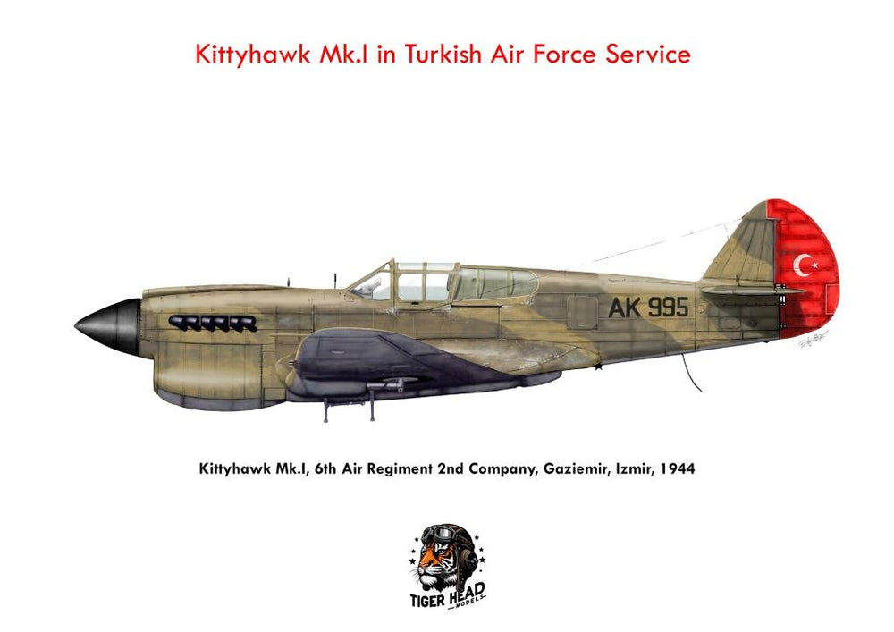 TIGERHEAD SET OF 3 LEGENDS in Turkish Air Force service ( 1/48 )
