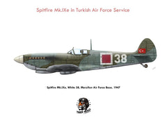 TIGERHEAD SET OF 3 LEGENDS in Turkish Air Force service ( 1/48 )