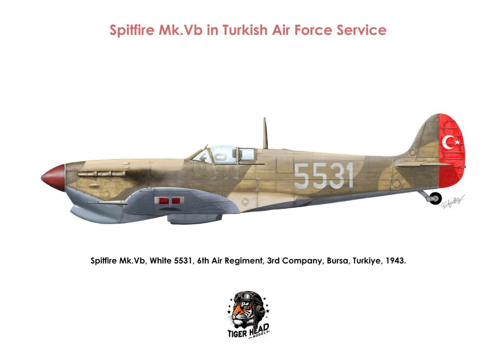 TIGERHEAD SPITFIRE Mk. Vb. in Turkish Air Force service ( 1/48 )